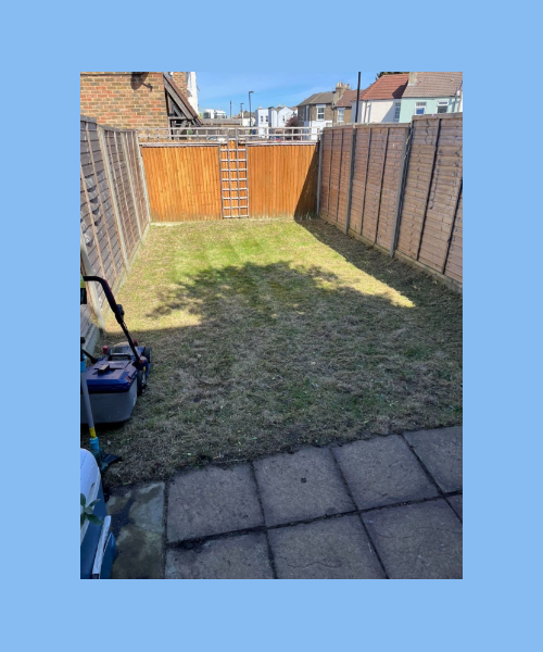 Patio Clearing & Restoration