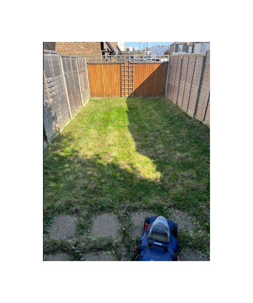 Patio Clearing & Restoration