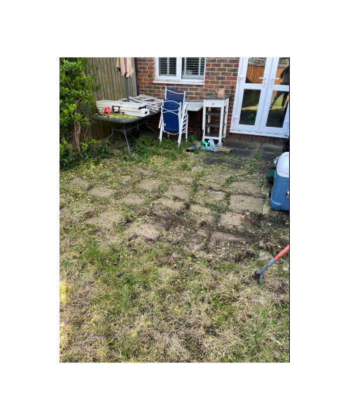 Grass Cutting & Edge Clean-Up